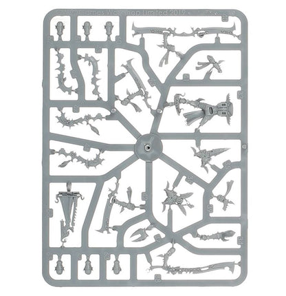 Warhammer 40,000 Drukhari Incubi