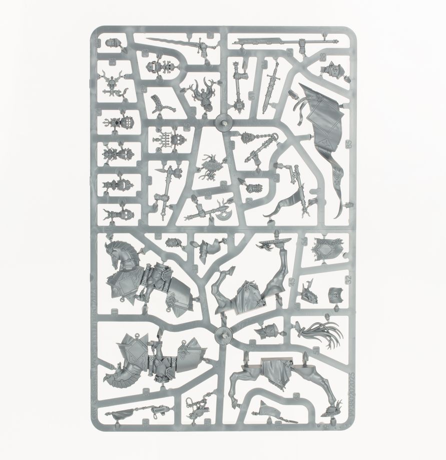 Warhammer Age of Sigmar Cities of Sigmar Freeguild Cavaliers
