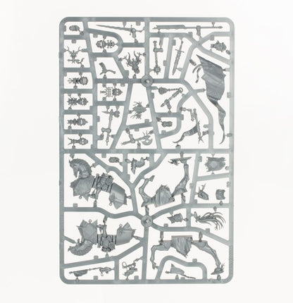 Warhammer Age of Sigmar Cities of Sigmar Freeguild Cavaliers