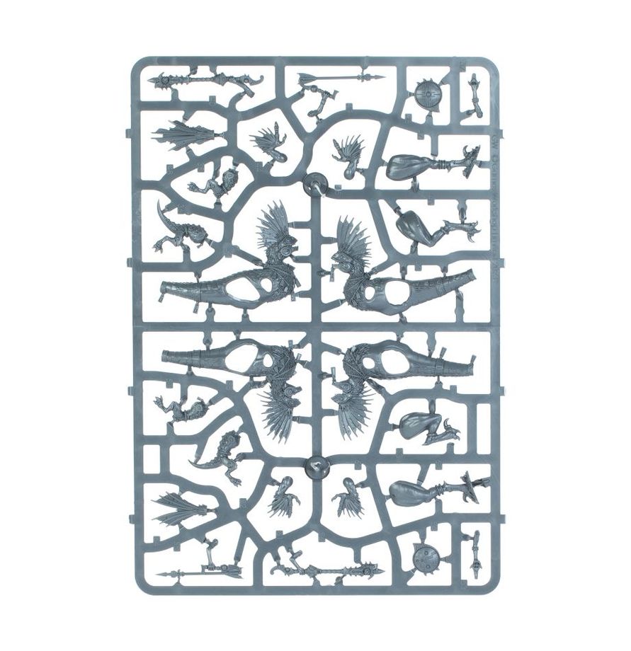 Warhammer Age of Sigmar Seraphon Raptadon Hunters/Raptadon Chargers