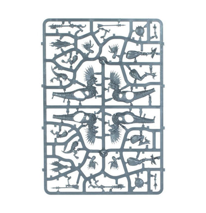 Warhammer Age of Sigmar Seraphon Raptadon Hunters/Raptadon Chargers
