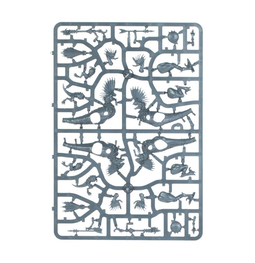 Warhammer Age of Sigmar Seraphon Raptadon Hunters/Raptadon Chargers