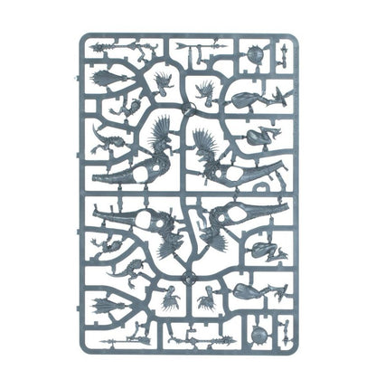 Warhammer Age of Sigmar Seraphon Raptadon Hunters/Raptadon Chargers