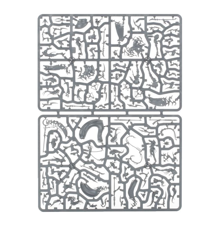 Warhammer Age of Sigmar Daughters of Khaine Khainite Shadowstalkers