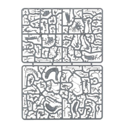 Warhammer Age of Sigmar Daughters of Khaine Khainite Shadowstalkers