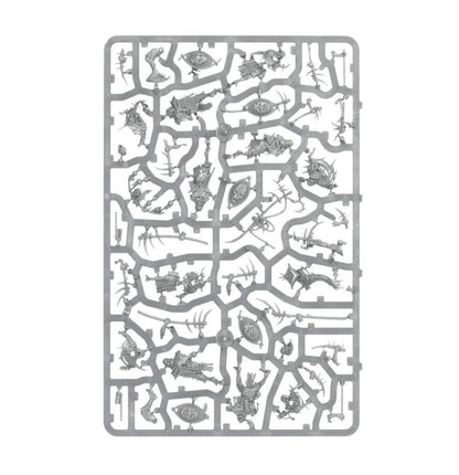 Warhammer Age of Sigmar Maggotkin of Nurgle Rotmire Creed