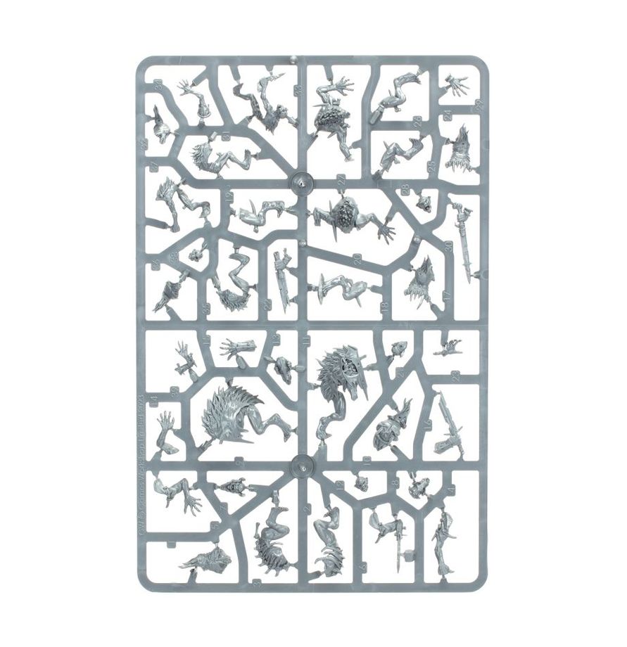 Warhammer Age of Sigmar Flesh-Eater Courts Royal Beastflayers