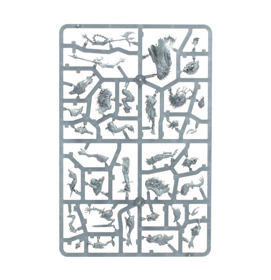 Warhammer Age of Sigmar Flesh-Eater Courts Royal Beastflayers