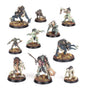 Warhammer Age of Sigmar Flesh-Eater Courts Royal Beastflayers
