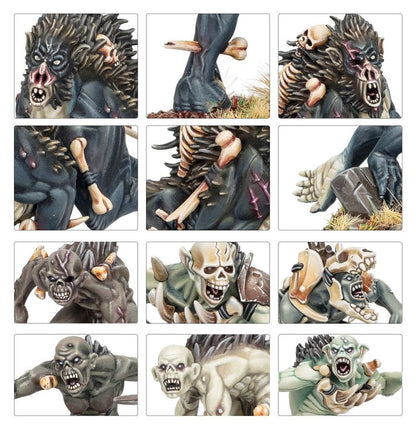 Warhammer Age of Sigmar Flesh-Eater Courts Royal Beastflayers