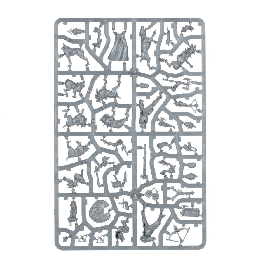 Warhammer Age of Sigmar Cities of Sigmar Wildercorps Hunters