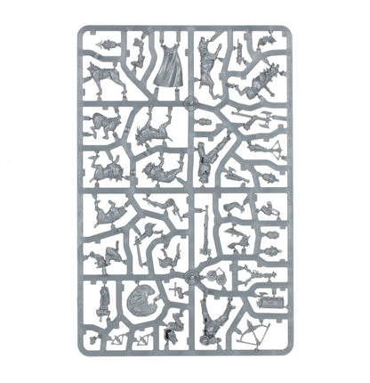 Warhammer Age of Sigmar Cities of Sigmar Wildercorps Hunters