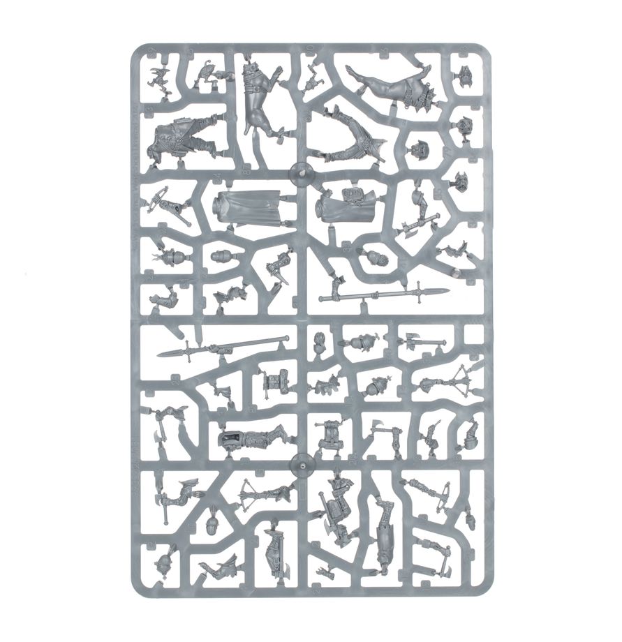 Warhammer Age of Sigmar Cities of Sigmar Wildercorps Hunters