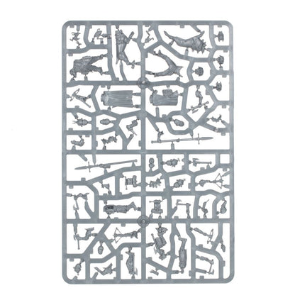 Warhammer Age of Sigmar Cities of Sigmar Wildercorps Hunters