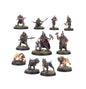 Warhammer Age of Sigmar Cities of Sigmar Wildercorps Hunters