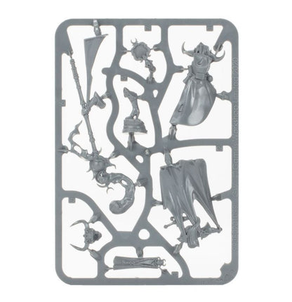 Warhammer Age of Sigmar Hedonites of Slaanesh Shardspeaker of Slaanesh