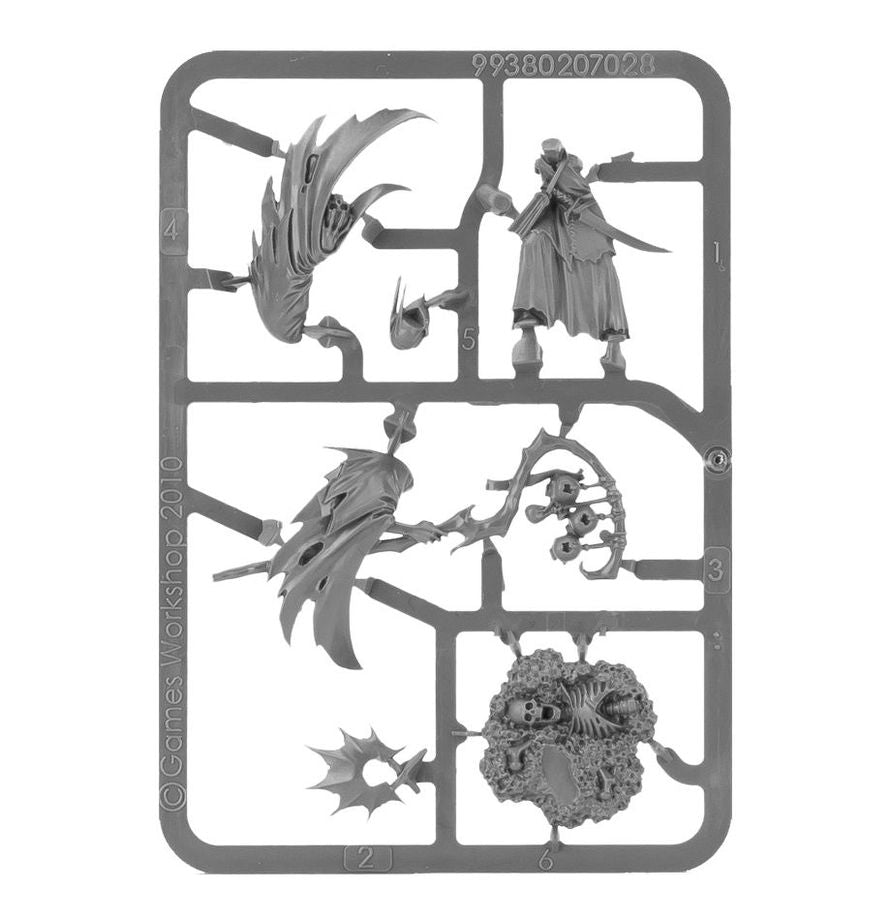 Warhammer Age of Sigmar Soulblight Gravelords Necromancer