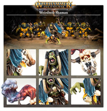 Warhammer Age of Sigmar Orruk Warclans Weirdnob Shaman