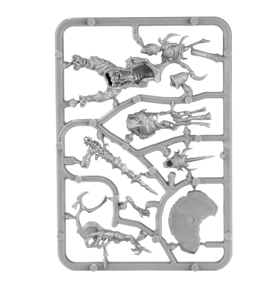 Warhammer Age of Sigmar: Poxbringer