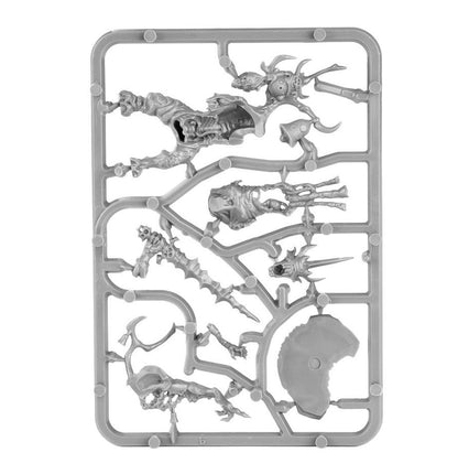 Warhammer Age of Sigmar: Poxbringer