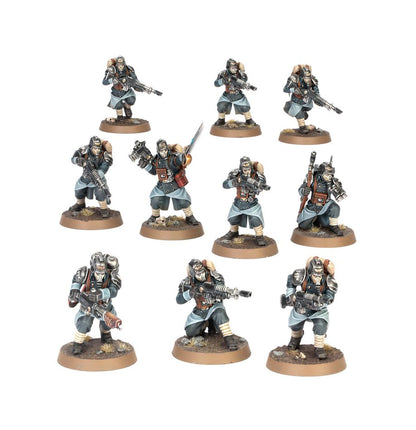 Warhammer 40,000 Astra Militarum Death Korps of Krieg