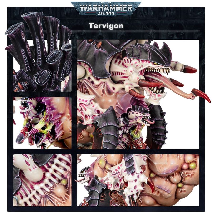 Warhammer 40,000 Tyranids Tyrannofex/Tervigon
