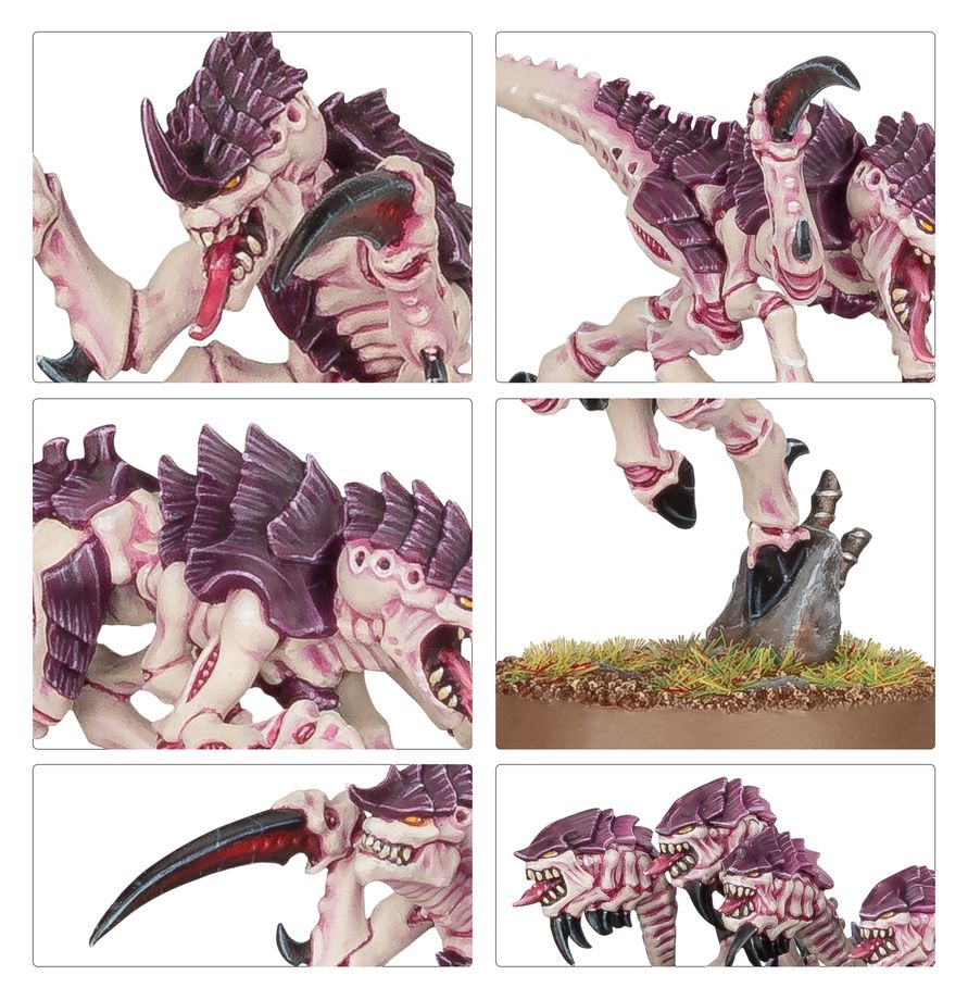 Warhammer 40,000 Tyranids Hormagaunts