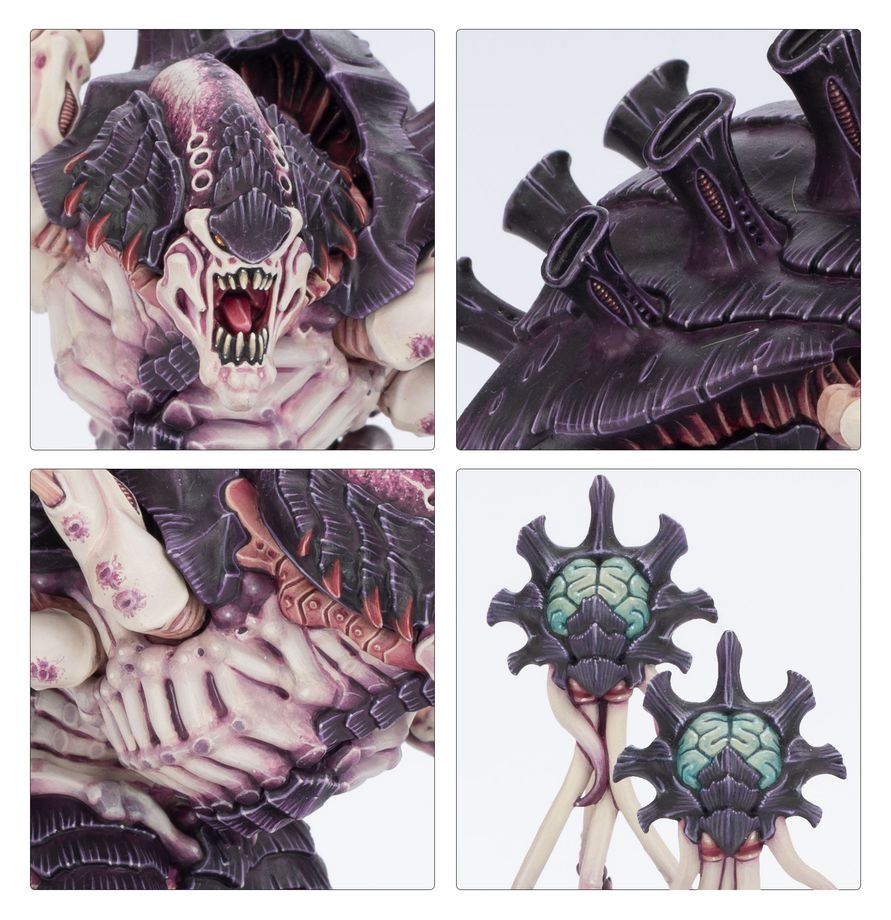 Warhammer 40,000 Tyranids Horrors of the Hive