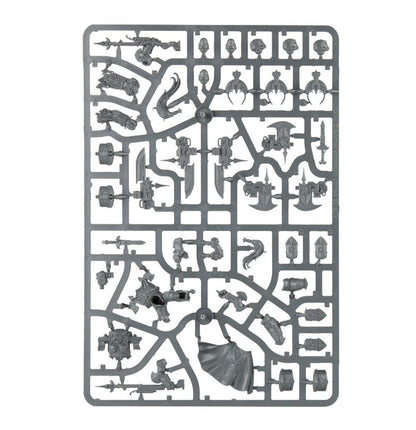 Warhammer 40,000 Adeptus Custodes Shield-Captain in Allarus Terminator Armour