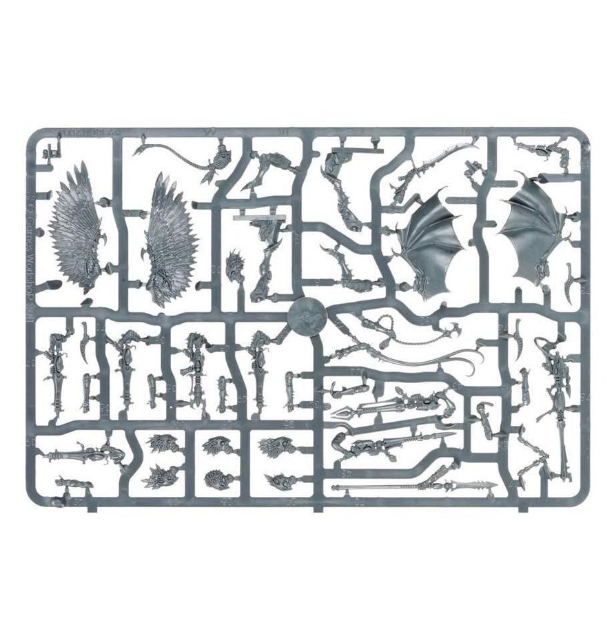 Warhammer 40,000 Drukhari Scourges