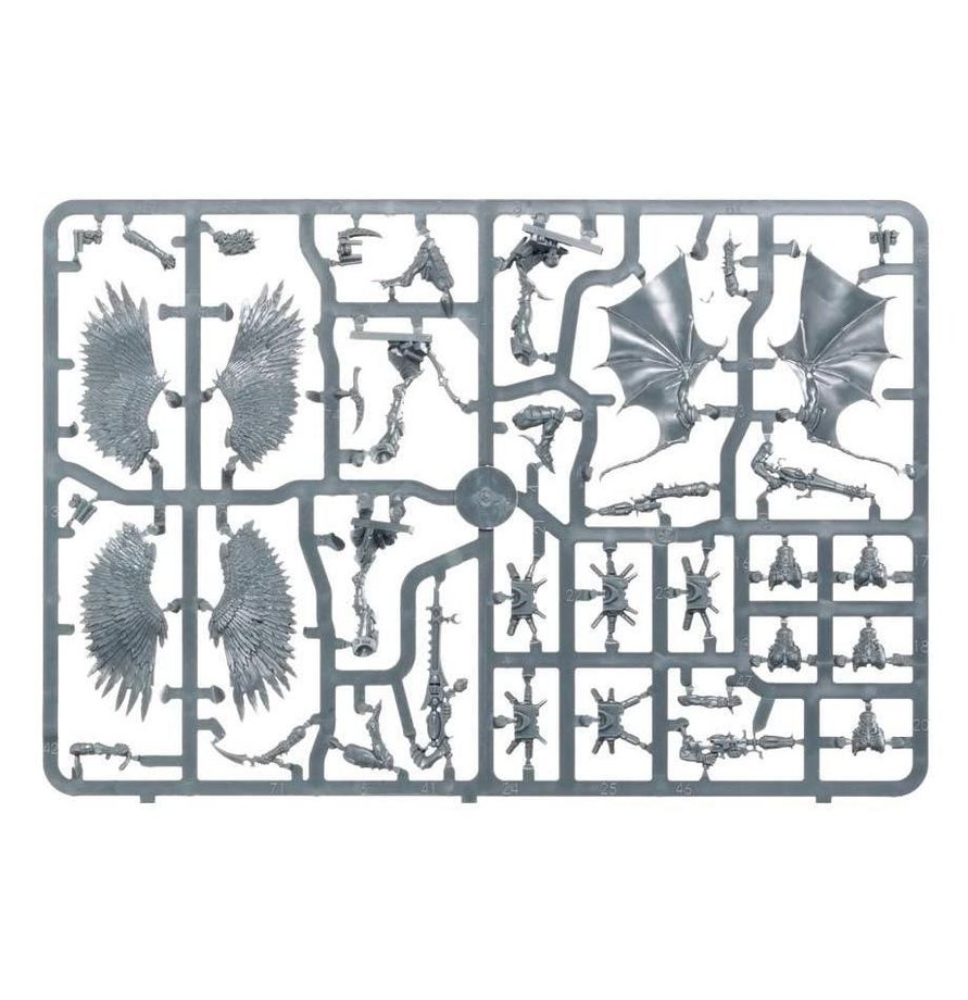 Warhammer 40,000 Drukhari Scourges