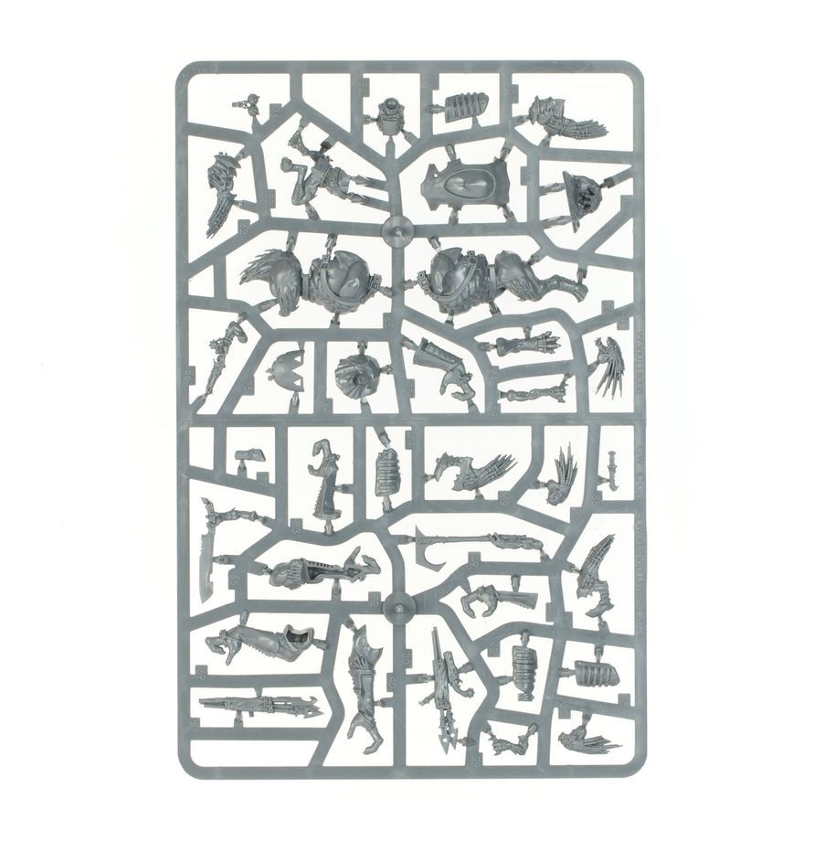 Warhammer 40,000 T'au Empire Krootox Rampagers