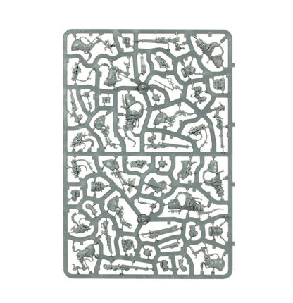 Warhammer 40,000 Adeptus Mechanicus Serberys Raiders