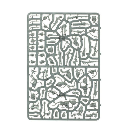 Warhammer 40,000 Adeptus Mechanicus Serberys Sulphurhounds