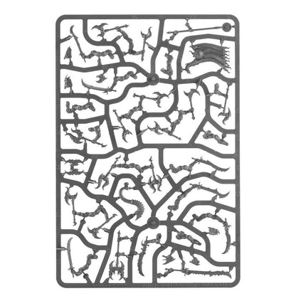 Warhammer Age of Sigmar Disciples of Tzeentch Tzaangors