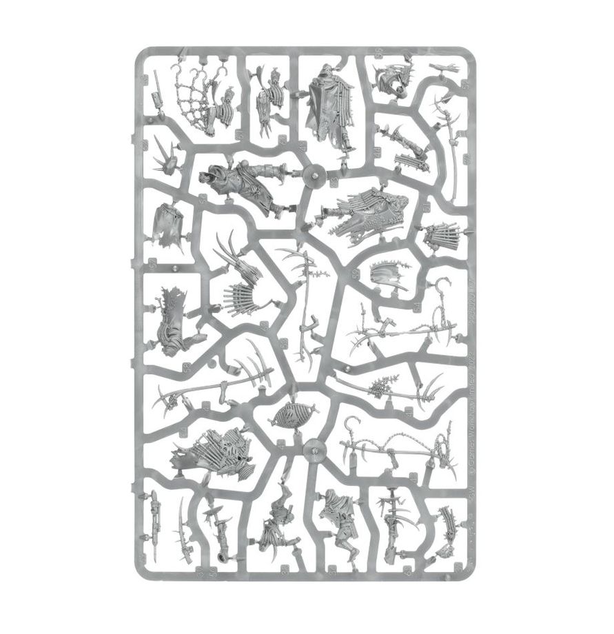 Warhammer Age of Sigmar Maggotkin of Nurgle Rotmire Creed