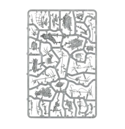 Warhammer Age of Sigmar Maggotkin of Nurgle Rotmire Creed