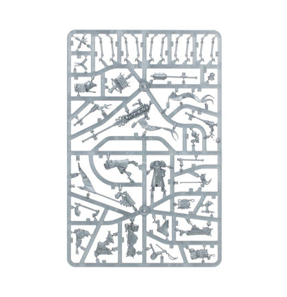Warhammer Age of Sigmar Cities of Sigmar Freeguild Fusiliers