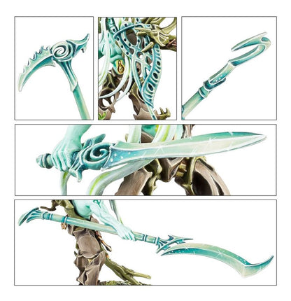 Warhammer Age of Sigmar Sylvaneth Tree-Revenants/Spite-Revenants