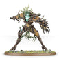 Warhammer Age of Sigmar Sylvaneth Drycha Hamadreth