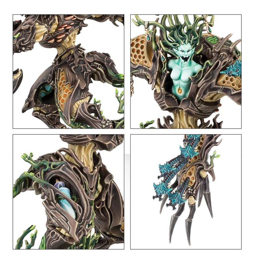 Warhammer Age of Sigmar Sylvaneth Drycha Hamadreth