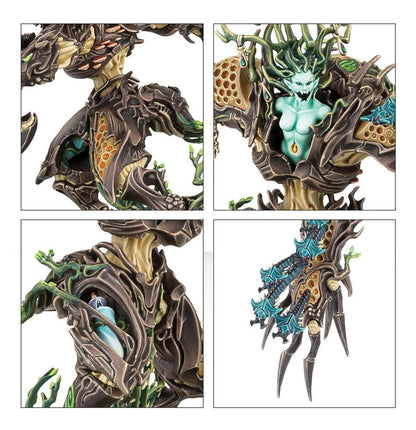 Warhammer Age of Sigmar Sylvaneth Drycha Hamadreth
