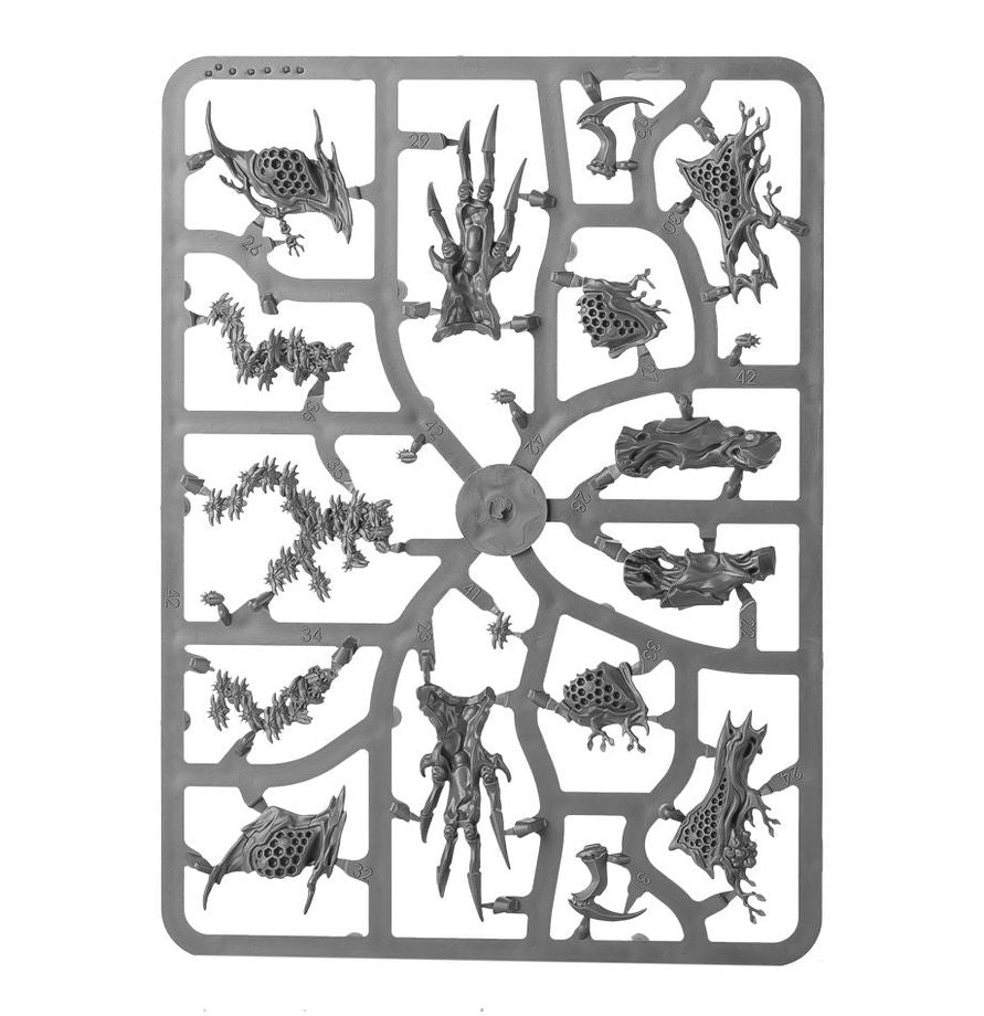 Warhammer Age of Sigmar Sylvaneth Drycha Hamadreth