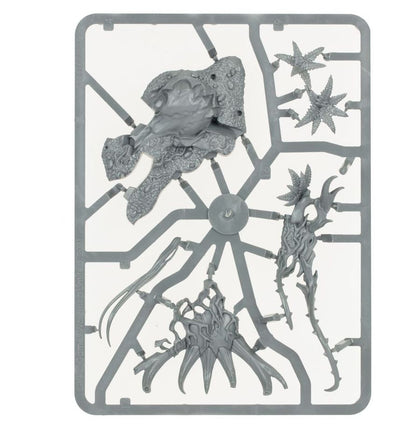 Warhammer Age of Sigmar Sylvaneth Warsong Revenant