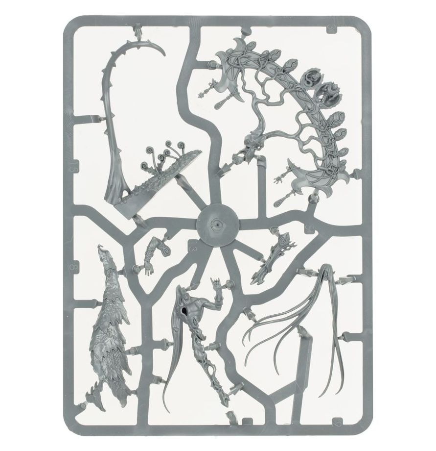 Warhammer Age of Sigmar Sylvaneth Warsong Revenant