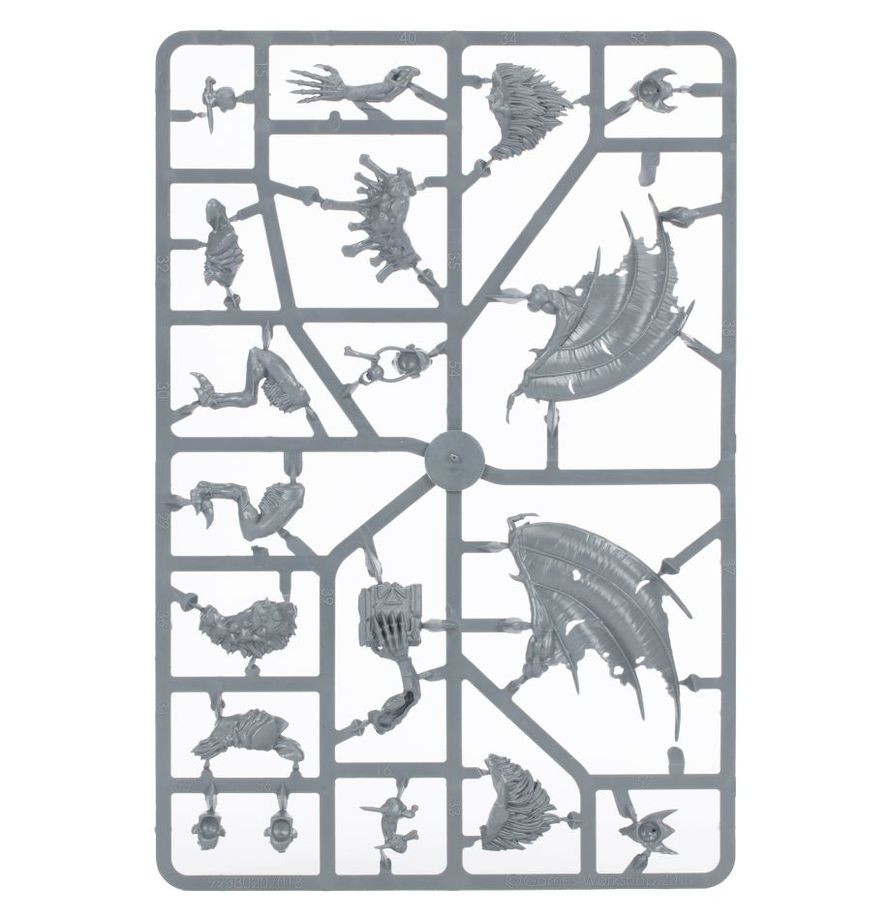 Warhammer Age of Sigmar Flesh-Eater Courts Crypt Flayers
