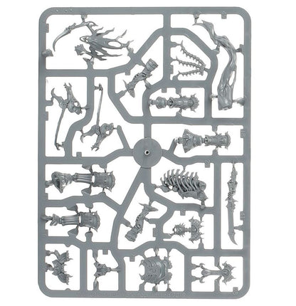 Warhammer Age of Sigmar Ossiarch Bonereapers Arch-Kavalos Zandtos