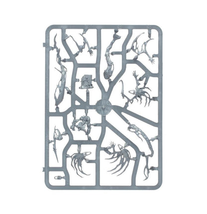 Warhammer Age of Sigmar Nighthaunt Spirit Hosts
