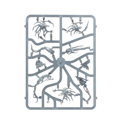 Warhammer Age of Sigmar Nighthaunt Spirit Hosts
