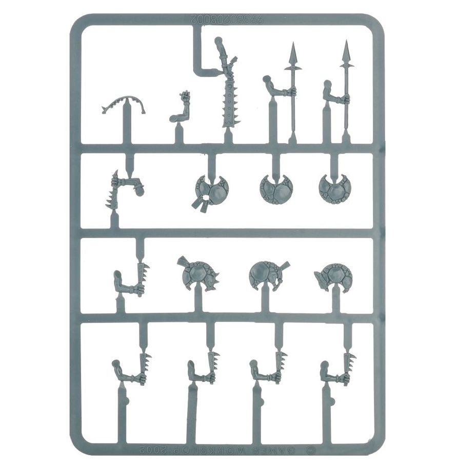 Warhammer Age of Sigmar Seraphon Skinks